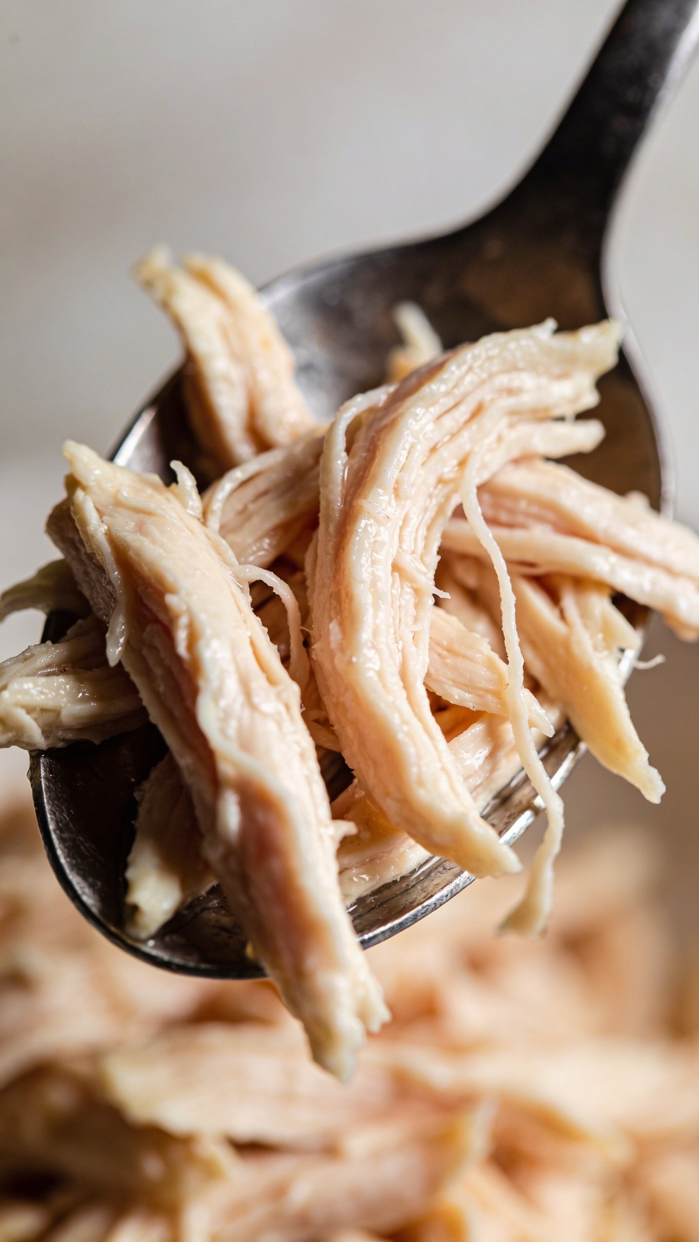 Creamy Chicken Soup Recipe: Cozy Weeknight Wonder 4 macro shot of shredded chicken texture on spoon